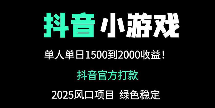 抖音官方小游戏2025全网最新玩法，暴利赚钱项目，单机日入2000+-阳明聊项目