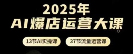 2025年AI爆店运营大课，13节AI实操课+37节流量运营课-阳明聊项目