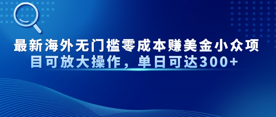 最新海外无门槛零成本赚美金小众项目可放大操作，单日可达300+-阳明聊项目