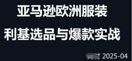 跨境电商选品案例24-25年，聚焦跨境电商选品策略与运营优化，助力卖家挖掘蓝海市场-阳明聊项目