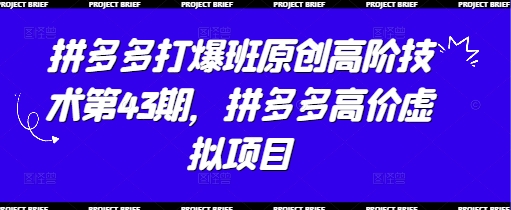 拼多多打爆班原创高阶技术第43期，拼多多高价虚拟项目-阳明聊项目