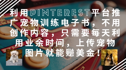 利用Pinterest平台推广宠物训练电子书，不用创作内容，只需要每天利用业余时间，上传宠物图片就能挣美金!-阳明聊项目