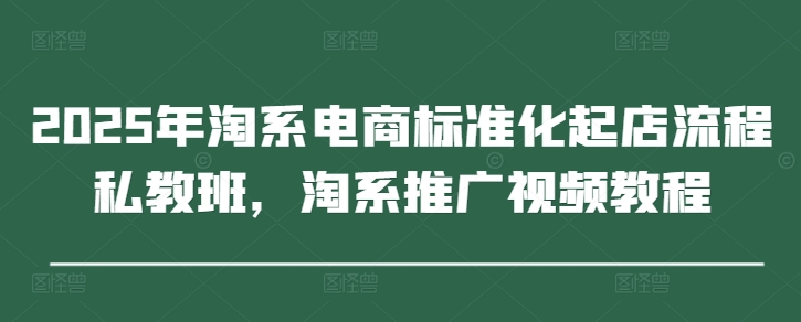 2025年淘系电商标准化起店流程私教班，淘系推广视频教程-阳明聊项目