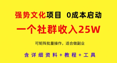 强势文化项目，一个社群收入25个W，0成本启动，可矩阵批量操作，原创详细实操教程-阳明聊项目