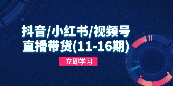 抖音/小红书/视频号/直播带货(11-16期-阳明聊项目