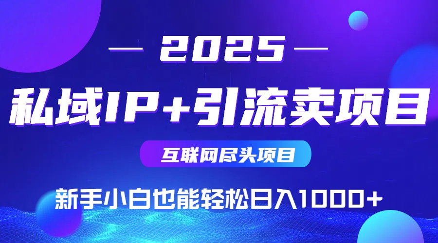 私域IP+卖项目，普通人小白也能轻松实现日入1000+-阳明聊项目