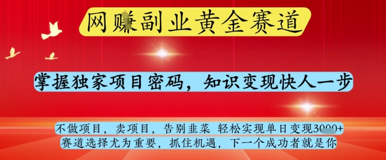 网创副业黄全赛道，掌握独家项目密码，知识变现快人一步，告别韭菜轻松实现单日变现1k+【揭秘】-阳明聊项目