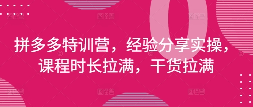 拼多多特训营，经验分享实操，课程时长拉满，干货拉满(更新25年4月)-阳明聊项目