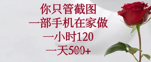 你只管截图，一部手机在家可以做，一小时120.一天5张+【揭秘】-阳明聊项目