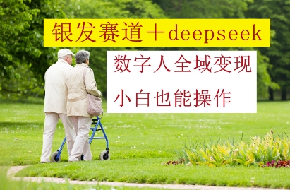 银发赛道+deepseek数字人全域变现，小白也能操作-阳明聊项目