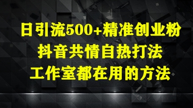 日引流500+精准创业粉，抖音共情自热打法，工作室都在用的方法-阳明聊项目
