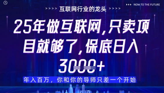 什么！25年你还在找项目做？风口早就变了，卖项目才是稳挣不赔【揭秘】-阳明聊项目