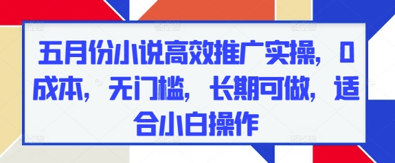 五月份小说高效推广实操，0成本，无门槛，长期可做，适合小白操作-阳明聊项目