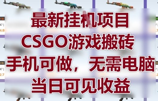 最新挂G项目，CSGO游戏搬砖，手机可做，无需电脑，当日见收益【揭秘】-阳明聊项目
