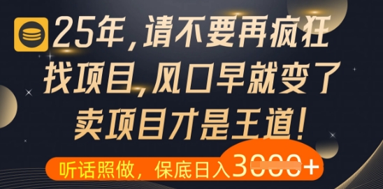 什么？25年你还在疯狂找项目做，醒醒吧，看完这些你全都懂了【揭秘】-阳明聊项目