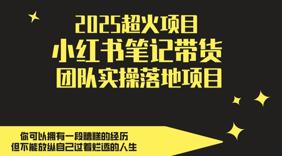 2025超火项目，副业最佳选择，小红书笔记带货团队实操落地项目，，轻松日入5张-阳明聊项目
