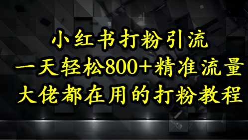 小红书打粉引流，一天轻松500+精准流量，大佬都在用的打粉教程-阳明聊项目