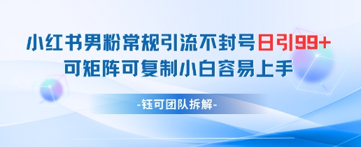 小红书男粉常规引流不封号日引99+变现简单 可矩阵可复制小白容易上手-阳明聊项目