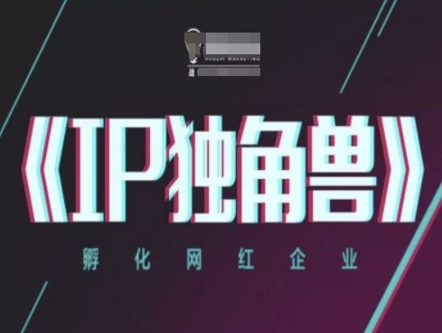 IP独角兽，孵化网红企业，ip教程-阳明聊项目