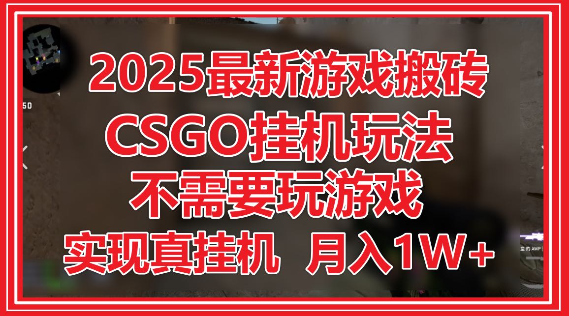 2025最新游戏搬砖，CSGO挂机，不需要玩游戏，实现真挂机，月入1W+-阳明聊项目
