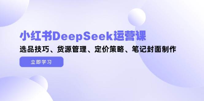 小红书DeepSeek运营课，选品技巧、货源管理、定价策略、笔记封面制作-阳明聊项目