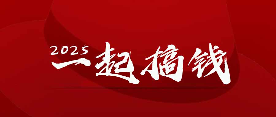 2025年，请“不择手段”去搞钱!-阳明聊项目