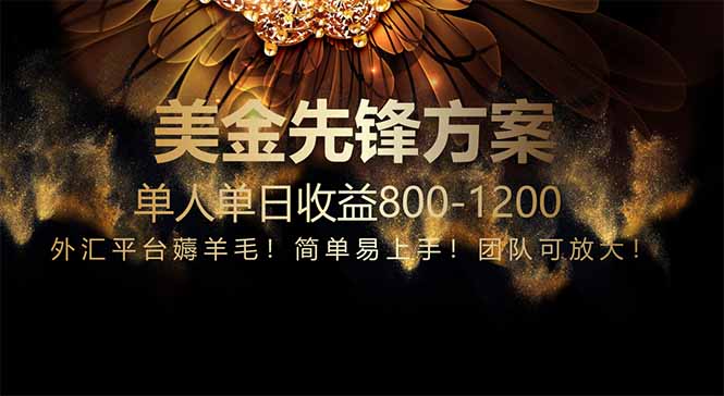 免费技术！小众赛道！一年布局抵三年努力，每日800+-阳明聊项目
