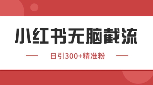 小红书只要你有同行就能获客，独家野路子获客玩法，暴力截流【揭秘】-阳明聊项目