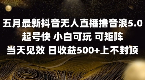 2025五月最新无人直播撸音浪单日产出5张+实操教程【揭秘】-阳明聊项目