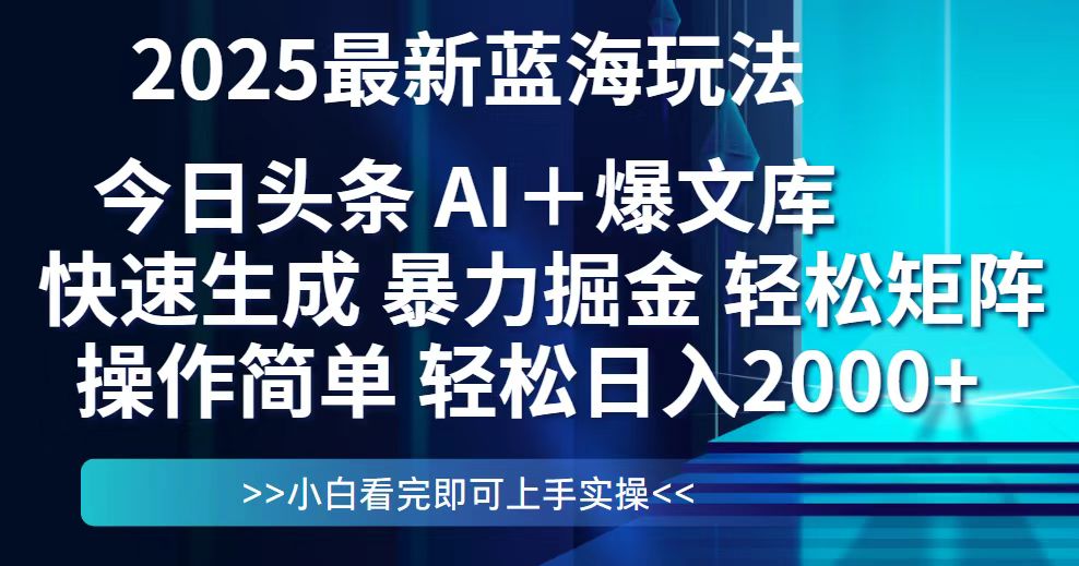 今日头条2025最新蓝海玩法，思路简单，复制粘贴，轻松实现矩阵日入2000+-阳明聊项目