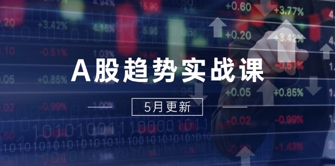 A股趋势实战课：主力动向+政策红利，2025全年策略5月更新-阳明聊项目