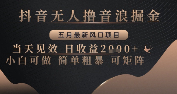 抖音无人撸音浪掘金，五月最新风口项目，当天见效，日收益多张，小白可做简单粗暴可矩阵【揭秘】-阳明聊项目