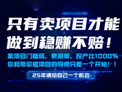 只有卖项目才能做到稳挣不赔，门槛低，更简单，你也可以年入百个W【揭秘】-阳明聊项目