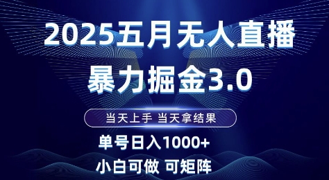 2025五月无人直播暴力掘金3.0，当天上手，当天拿结果，单号日入1k+小白可做可矩阵【揭秘】-阳明聊项目