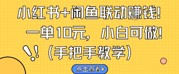 小红书+闲鱼联动挣钱，一单10元，小白可做-阳明聊项目
