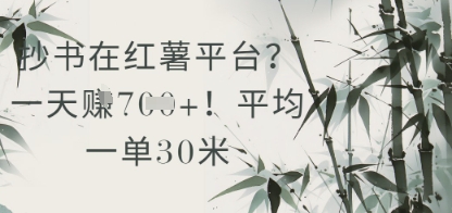 抄书在小红薯平台？平均一单30米，一天收益几张！-阳明聊项目