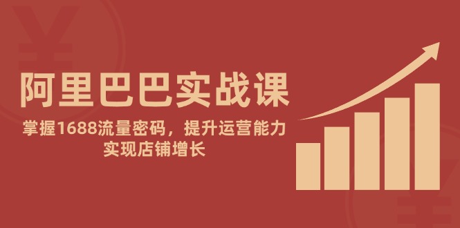 阿里巴巴实战课：掌握1688流量密码，提升运营能力，实现店铺增长-阳明聊项目