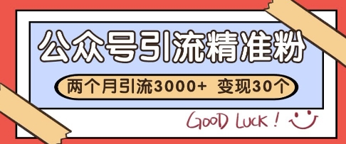 公众号精准粉引流玩法，2个月3000+精准粉，变现30个W【揭秘】-阳明聊项目