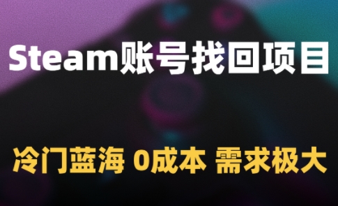Steam账号找回项目，冷门蓝海，0成本，需求极大-阳明聊项目