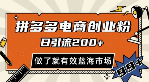拼多多引流电商创业粉，日引200+，可矩阵放大，做了就有效【揭秘】-阳明聊项目