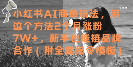 小红书AI商单玩法，用这个方法2个月涨粉7W+，新手也能接品牌合作(附全套指令模板)-阳明聊项目