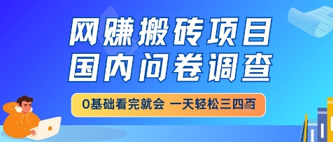 网创搬砖项目，国内问卷调查，小白轻松上手，一天三四张的也不难，干就完了【揭秘】-阳明聊项目