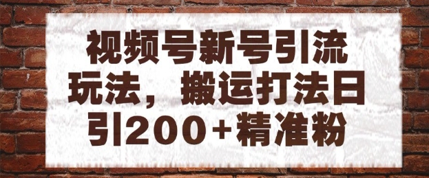视频号新号引流玩法，搬运打法日引200+精准粉，可矩阵放大【揭秘】-阳明聊项目