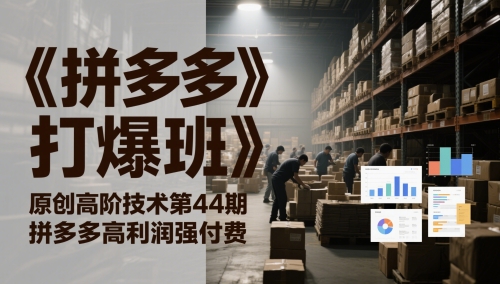 《拼多多打爆班》原创高阶技术第44期，拼多多高利润强付费-阳明聊项目
