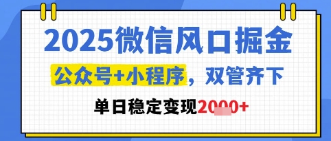 2025微信风口掘金，公众号+小程序双管齐下，单日稳定变现1k+【揭秘】-阳明聊项目