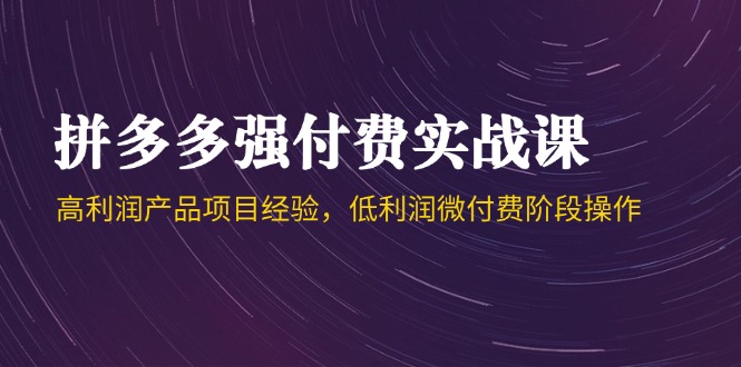 拼多多强付费实战课-44期，高利润产品项目经验，低利润微付费阶段操作-阳明聊项目