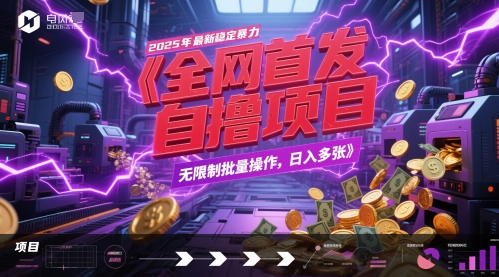 全网首发，2025年最新稳定暴力全自动自撸项目，无限制批量操作，日入多张【揭秘】-阳明聊项目