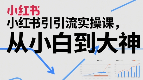 小红书引流实操课，从小白到大神-阳明聊项目