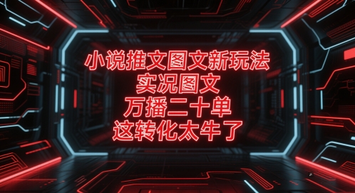 小说推文图文新玩法，实况图文，万播二十单，这转化太牛了！-阳明聊项目
