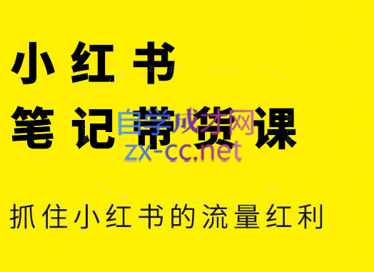 张宾·小红书笔记带货课(更新5月)-阳明聊项目